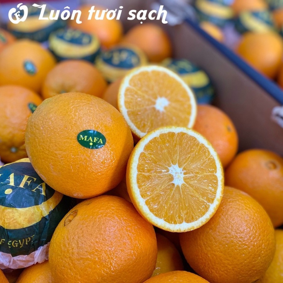Cam Ai Cập Mafa